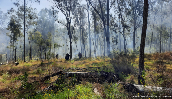 A photo of burned out bushland
