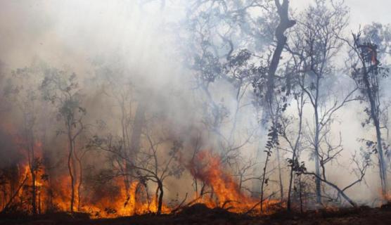 Keeping Safe from Disasters is Everybody's Business