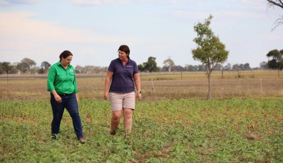 A farmer and a NEMA employee walk through a field while having a conversation.