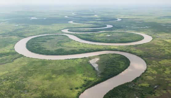 Aerial photo of Adelaide River, a squiggle on a lush green landscape.