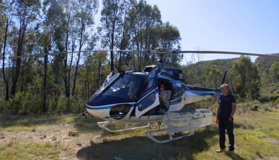 Small helicopter in a grassy clearing with blue skies and bush in the background, one person inside the helicopter with the door open and a man standing outside next to it.