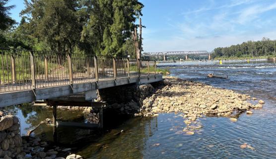An image of the Great River Walk in Penrith. It shows the raised walkway next to a river.
