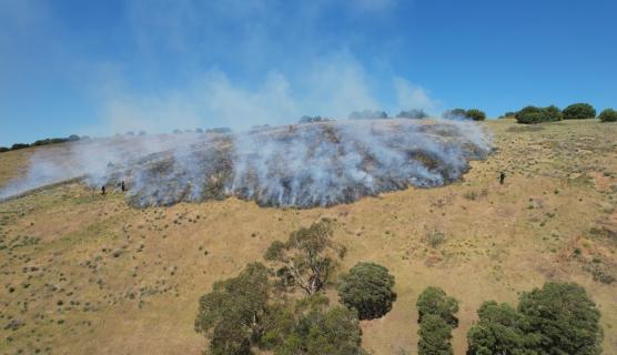 Photo credit: Kauwi-marnirla Hillside Burn. Picture by Rayne Simpson. Photo supplied by Foundation for National Parks and Wildlife. 