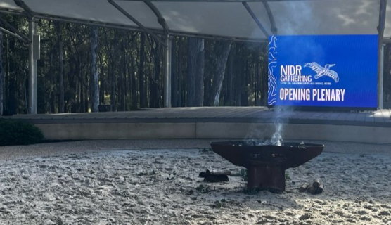 Photo of a sandy area with a bench seat around the edge, a smouldering fire pit in the centre, and a screen behind that says NIDR Gathering Opening Ceremony.