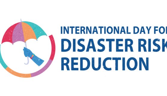 Image of a blue arm holding a colourful umbrella with the text International Day for Disaster Risk Reduction