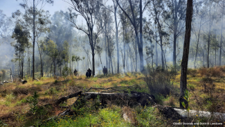 An image of burnt out bushland.