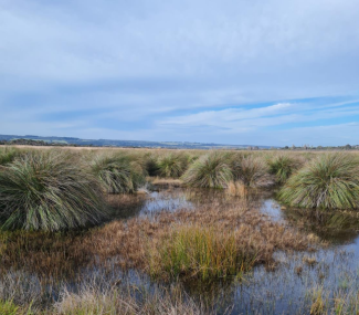 A photo of a wetland in Bunyip, Victoria