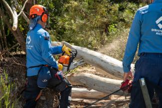An imagine of two emergency services working removing a fallen tree with a chainsaw
