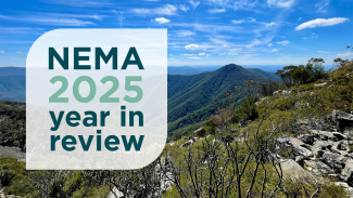 Photo from atop a mountain overlooking bushland with grey granite rocky ground to the right and blue skies with scattered clouds. Overlaid is text that says 'NEMA 2025 year in review'.