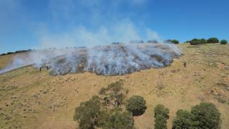 Photo credit: Kauwi-marnirla Hillside Burn. Picture by Rayne Simpson. Photo supplied by Foundation for National Parks and Wildlife. 